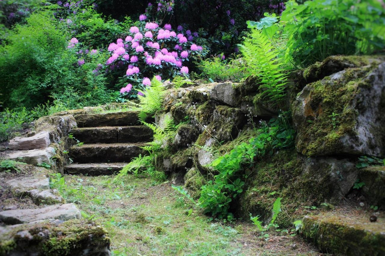 Villa Brodthage, App. 3 Walkenried Dış mekan fotoğraf