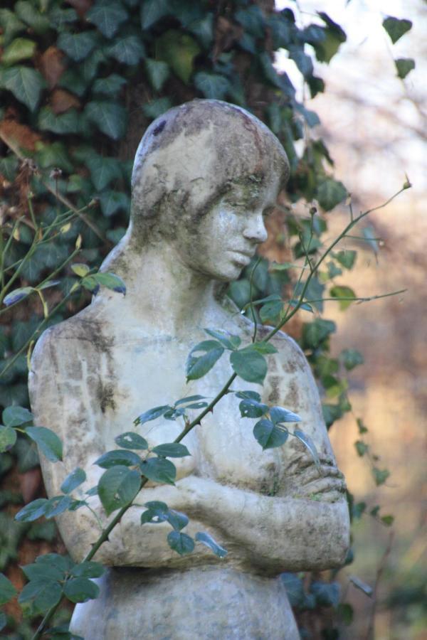 Villa Brodthage, App. 3 Walkenried Dış mekan fotoğraf